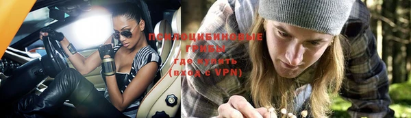 хмурый Алексин