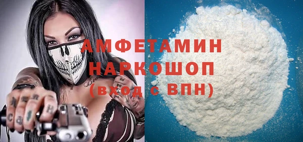 хмурый Алексин