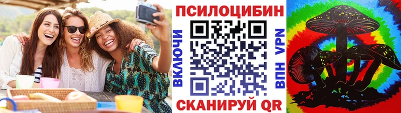 купить наркотики сайты  Алексеевка  кракен зеркало  Псилоцибиновые грибы Psilocybe 